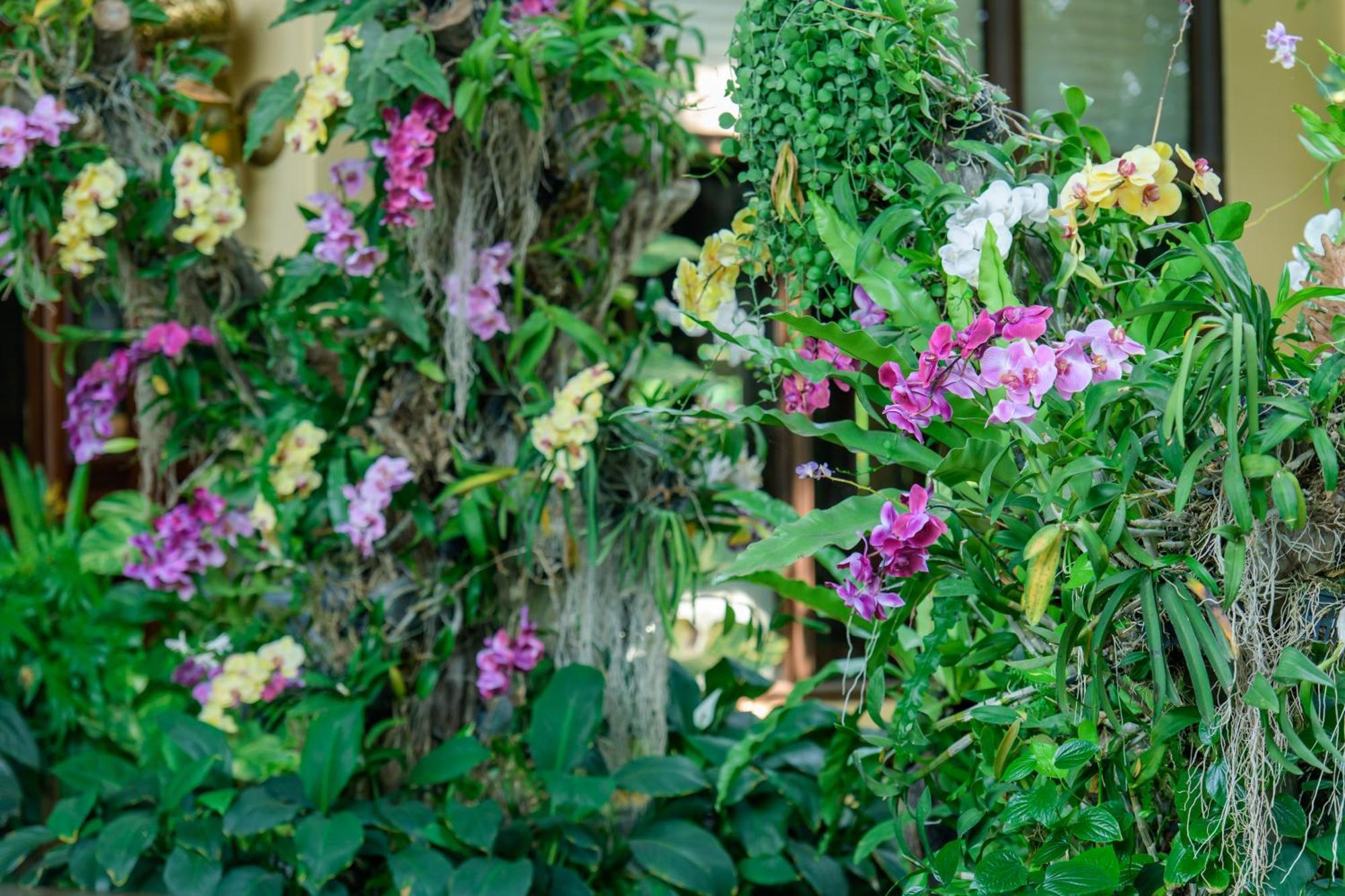 סיאם ריפ Angkor Palace Resort & Spa מראה חיצוני תמונה